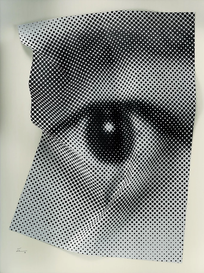 JR，《由內而外，眼框的皺紋 #16》，2014年