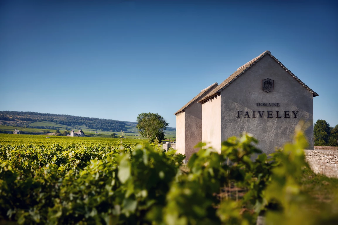 Domaine Faiveley 酒莊 Cabottes Clos Vougeot