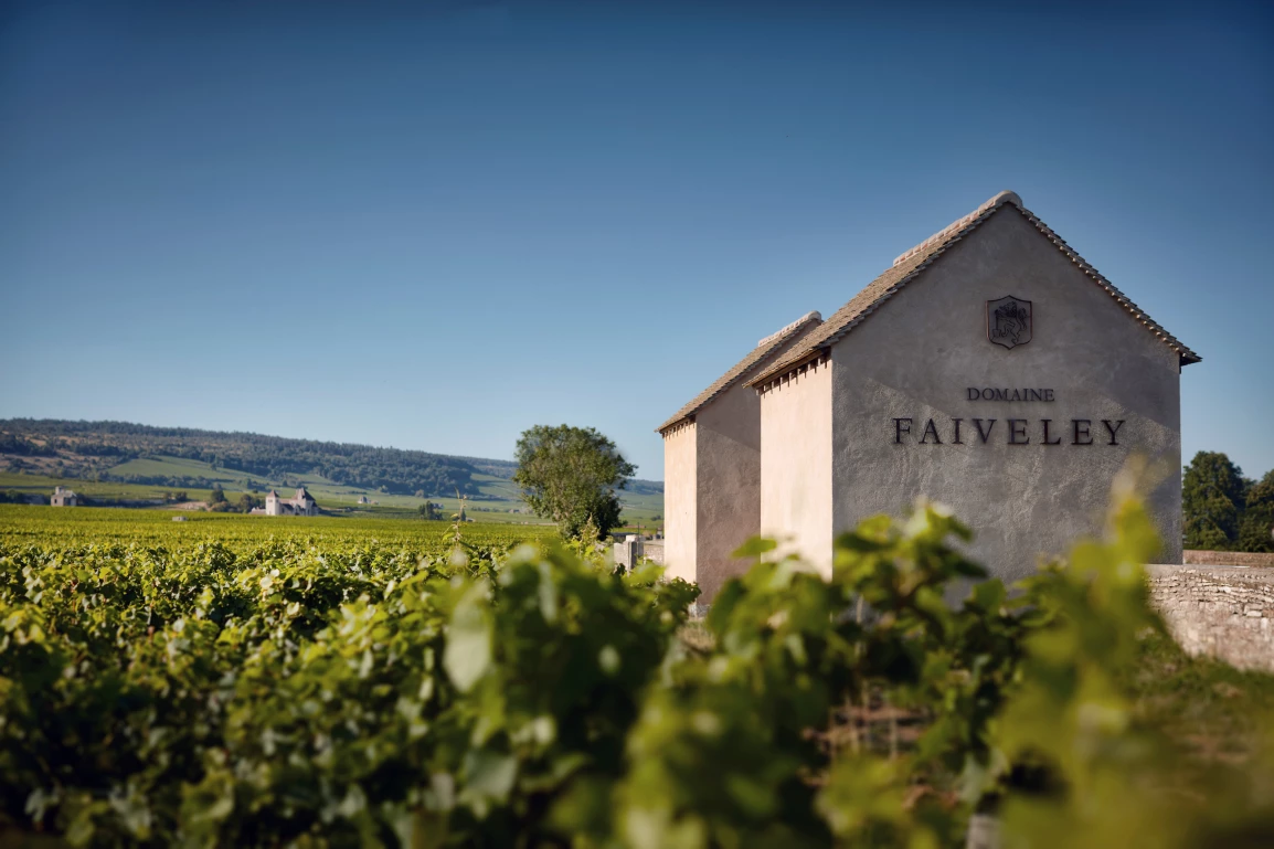 Domaine Faiveley 酒莊 Cabottes Clos Vougeot